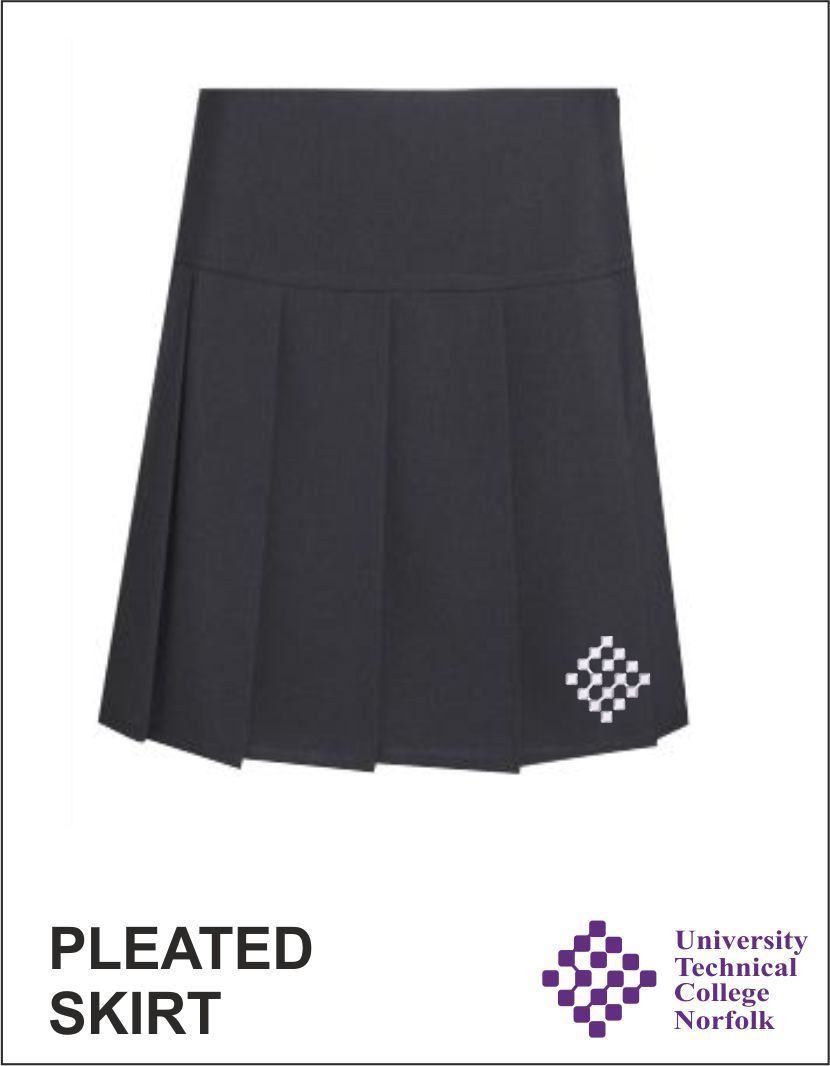 Pleated Skirt