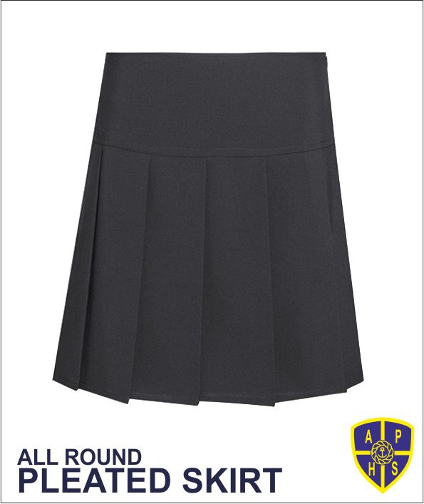 All Round Pleated Skirt Dl976