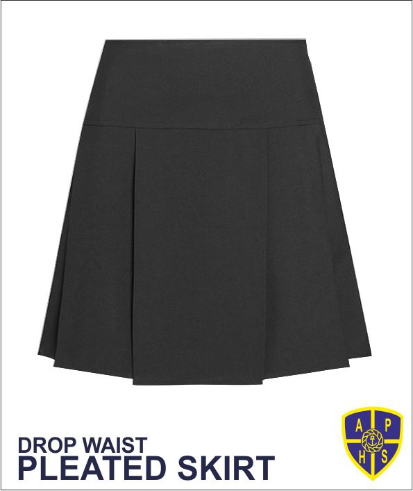 Drop Waist Pleated Skirt