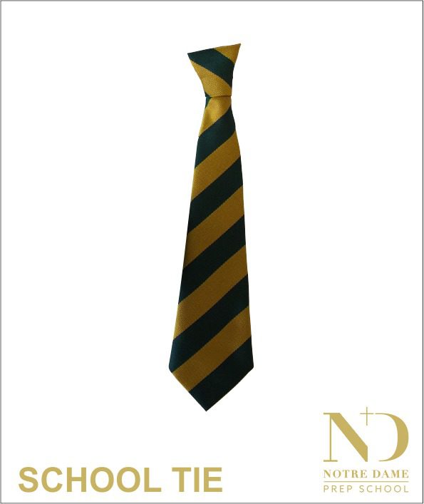 Ndps School Tie