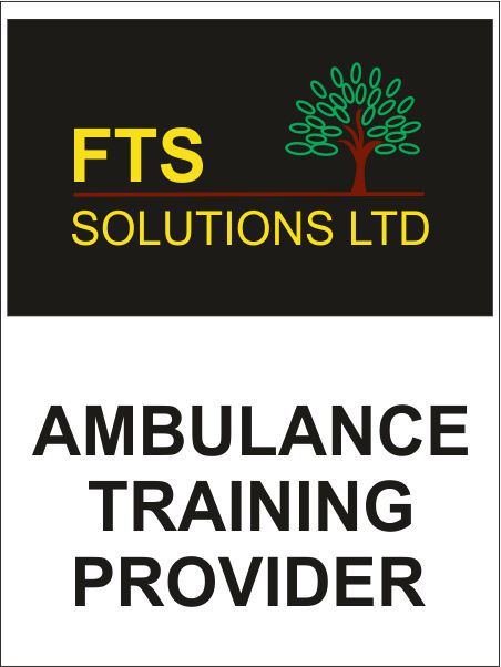 Fts Solutions Logo