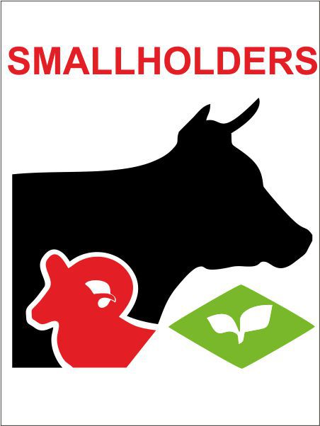 Smallholders Clubs