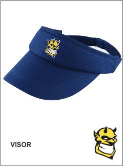 Visor