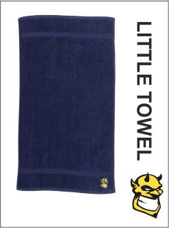 Little Towel